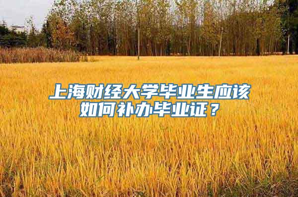 上海财经大学毕业生应该如何补办毕业证？