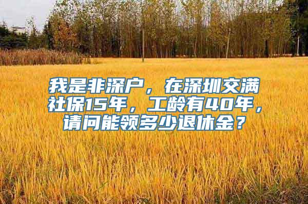 我是非深户，在深圳交满社保15年，工龄有40年，请问能领多少退休金？