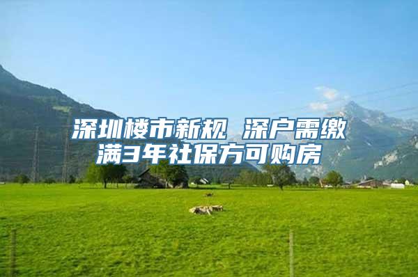 深圳楼市新规 深户需缴满3年社保方可购房