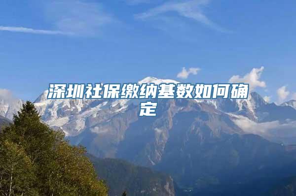 深圳社保缴纳基数如何确定