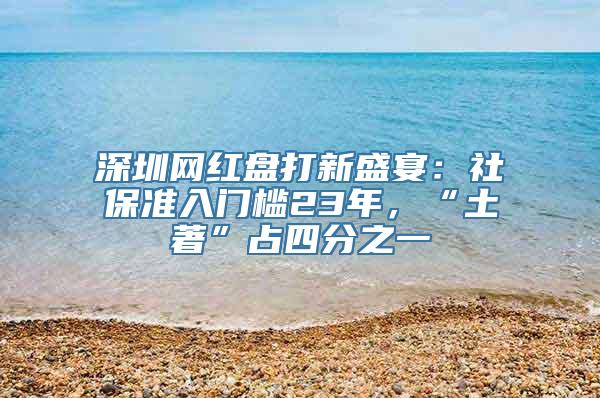 深圳网红盘打新盛宴：社保准入门槛23年，“土著”占四分之一