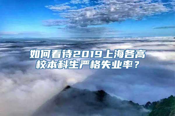 如何看待2019上海各高校本科生严格失业率？