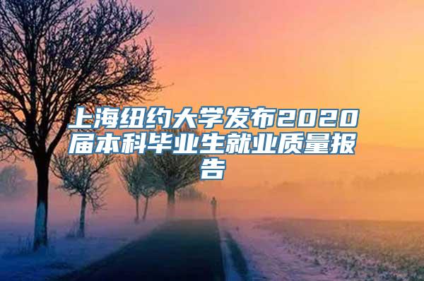 上海纽约大学发布2020届本科毕业生就业质量报告