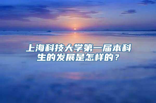 上海科技大学第一届本科生的发展是怎样的？