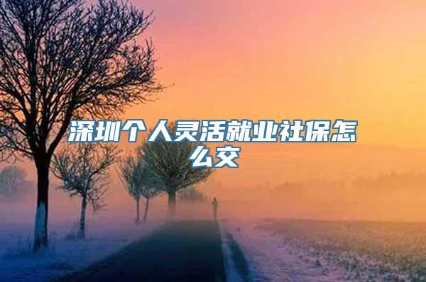 深圳个人灵活就业社保怎么交