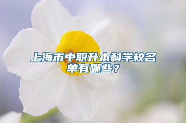 上海市中职升本科学校名单有哪些？