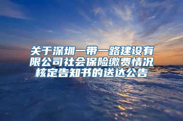 关于深圳一带一路建设有限公司社会保险缴费情况核定告知书的送达公告