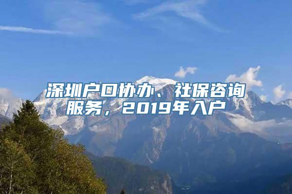 深圳户口协办、社保咨询服务，2019年入户