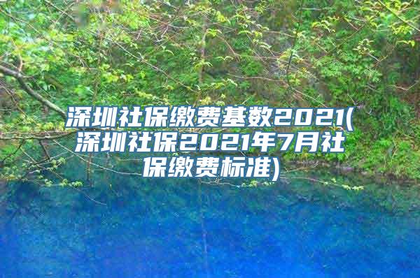 深圳社保缴费基数2021(深圳社保2021年7月社保缴费标准)