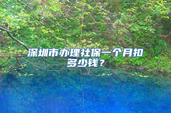 深圳市办理社保一个月扣多少钱？