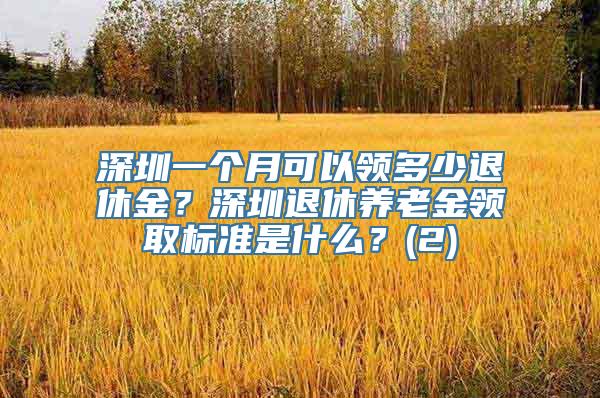 深圳一个月可以领多少退休金？深圳退休养老金领取标准是什么？(2)