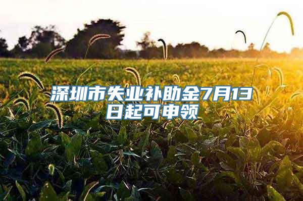 深圳市失业补助金7月13日起可申领