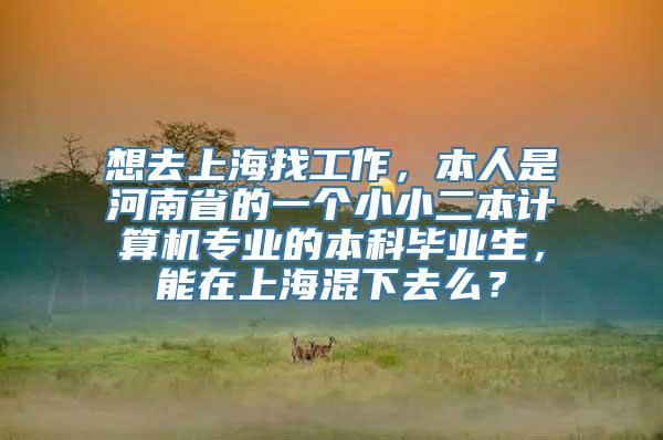 想去上海找工作，本人是河南省的一个小小二本计算机专业的本科毕业生，能在上海混下去么？