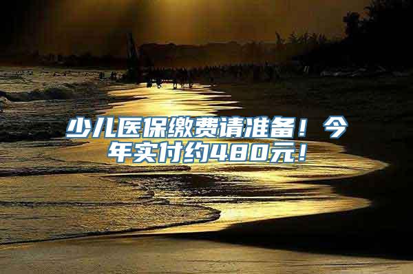 少儿医保缴费请准备！今年实付约480元！