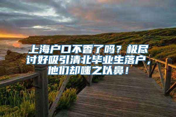 上海户口不香了吗？极尽讨好吸引清北毕业生落户，他们却嗤之以鼻！