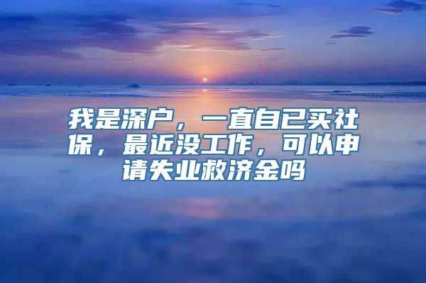 我是深户，一直自已买社保，最近没工作，可以申请失业救济金吗