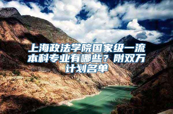 上海政法学院国家级一流本科专业有哪些？附双万计划名单