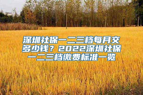 深圳社保一二三档每月交多少钱？2022深圳社保一二三档缴费标准一览