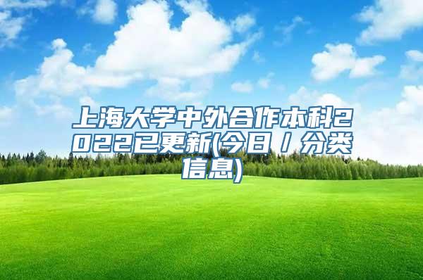 上海大学中外合作本科2022已更新(今日／分类信息)