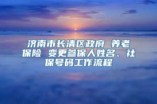 济南市长清区政府 养老保险 变更参保人姓名、社保号码工作流程