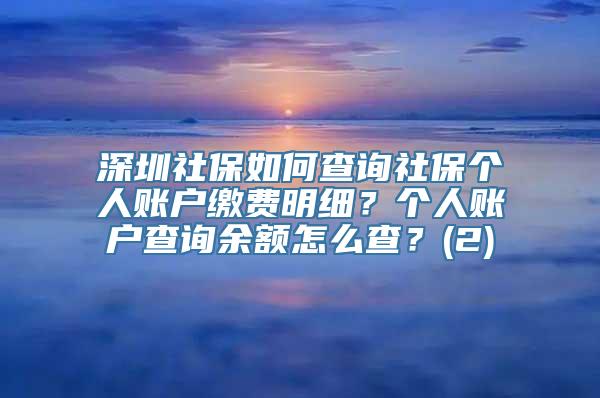 深圳社保如何查询社保个人账户缴费明细？个人账户查询余额怎么查？(2)