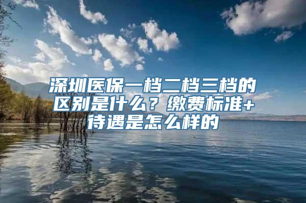 深圳医保一档二档三档的区别是什么？缴费标准+待遇是怎么样的