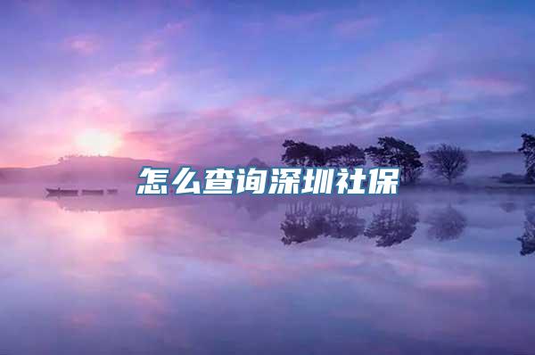 怎么查询深圳社保