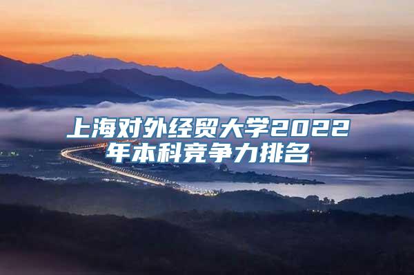 上海对外经贸大学2022年本科竞争力排名