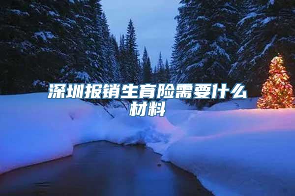 深圳报销生育险需要什么材料