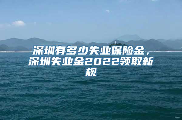 深圳有多少失业保险金，深圳失业金2022领取新规