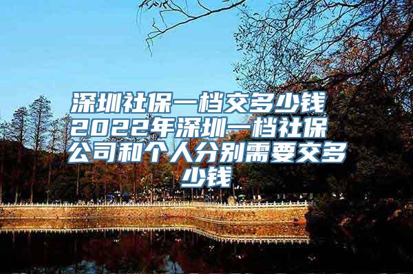 深圳社保一档交多少钱 2022年深圳一档社保 公司和个人分别需要交多少钱