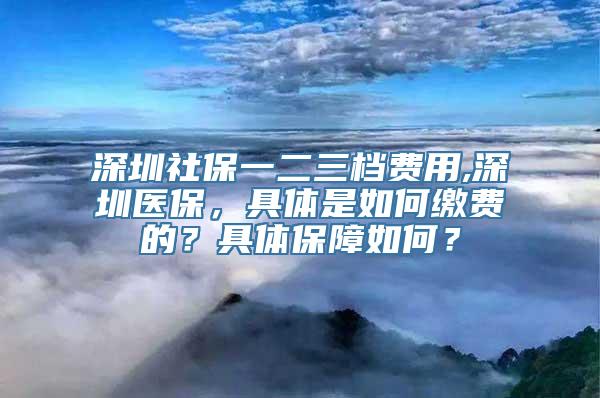 深圳社保一二三档费用,深圳医保，具体是如何缴费的？具体保障如何？