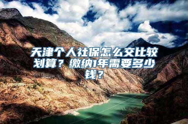 天津个人社保怎么交比较划算？缴纳1年需要多少钱？