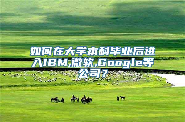 如何在大学本科毕业后进入IBM,微软,Google等公司？