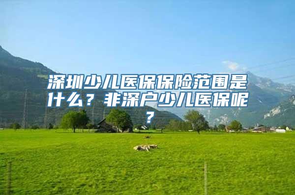 深圳少儿医保保险范围是什么？非深户少儿医保呢？