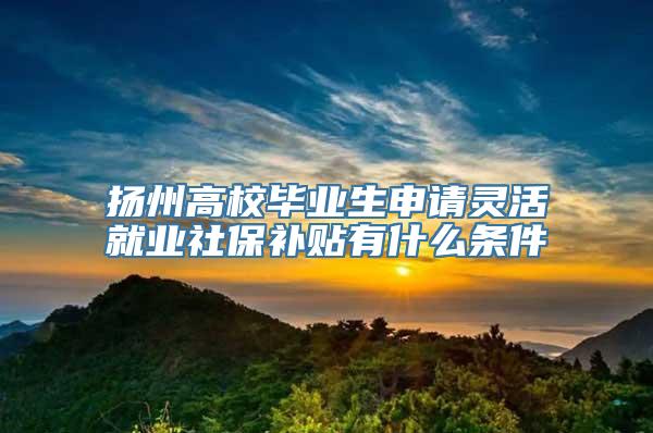 扬州高校毕业生申请灵活就业社保补贴有什么条件