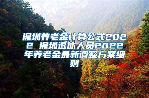 深圳养老金计算公式2022 深圳退休人员2022年养老金最新调整方案细则