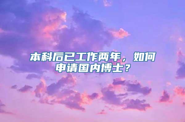 本科后已工作两年，如何申请国内博士？