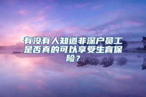 有没有人知道非深户员工是否真的可以享受生育保险？