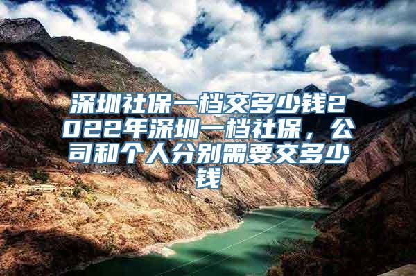 深圳社保一档交多少钱2022年深圳一档社保，公司和个人分别需要交多少钱