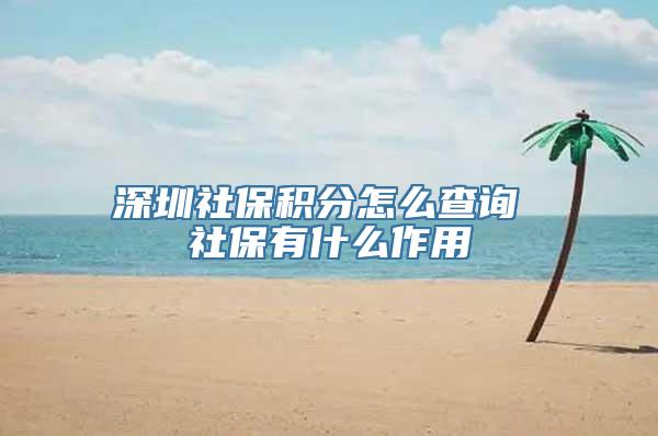 深圳社保积分怎么查询 社保有什么作用