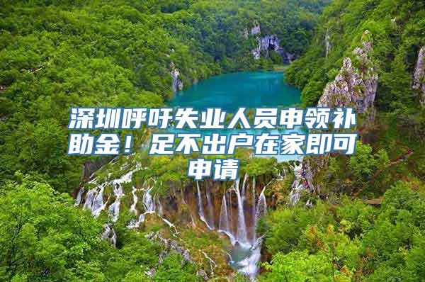 深圳呼吁失业人员申领补助金！足不出户在家即可申请