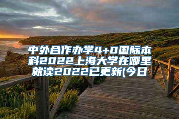 中外合作办学4+0国际本科2022上海大学在哪里就读2022已更新(今日