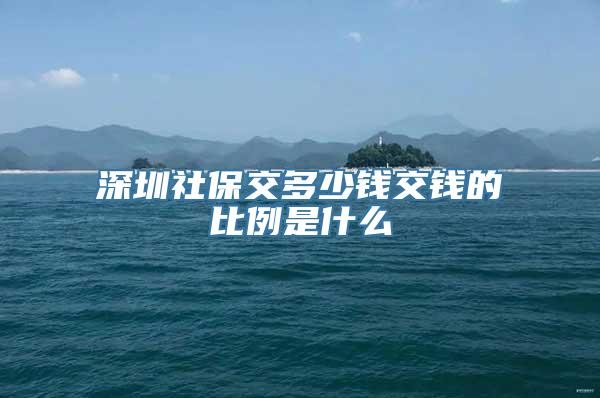 深圳社保交多少钱交钱的比例是什么