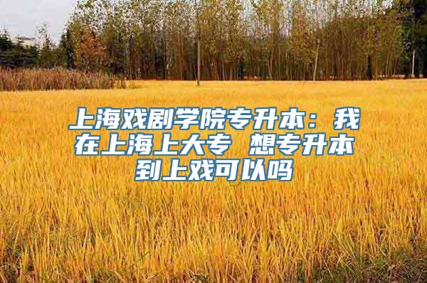 上海戏剧学院专升本：我在上海上大专 想专升本到上戏可以吗