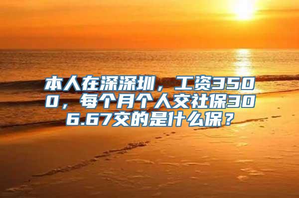 本人在深深圳，工资3500，每个月个人交社保306.67交的是什么保？