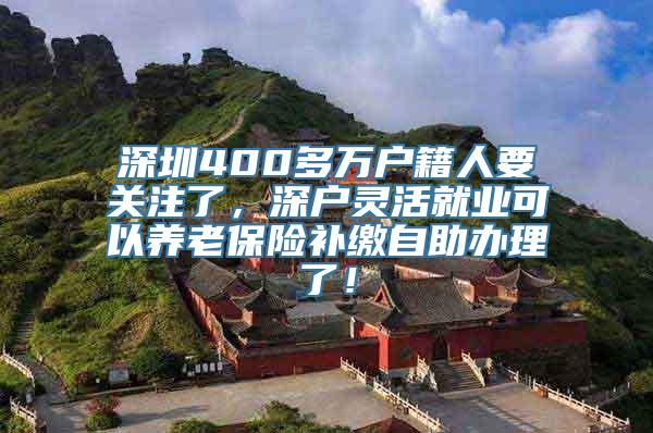 深圳400多万户籍人要关注了，深户灵活就业可以养老保险补缴自助办理了！