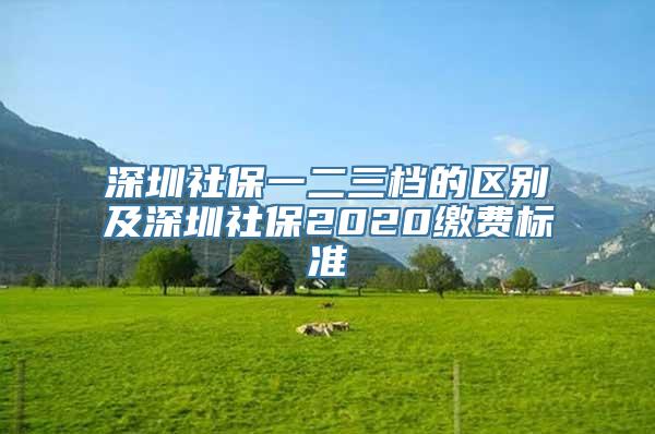 深圳社保一二三档的区别及深圳社保2020缴费标准