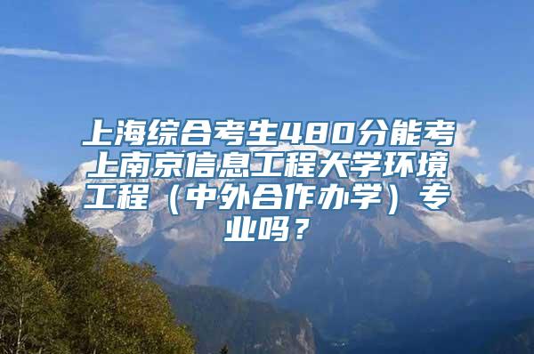 上海综合考生480分能考上南京信息工程大学环境工程（中外合作办学）专业吗？