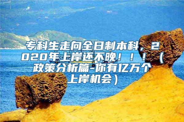 专科生走向全日制本科，2020年上岸还不晚！！！（政策分析篇-你有亿万个上岸机会）